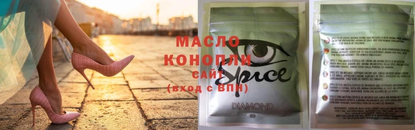 дмт Бородино