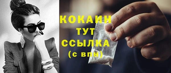 дмт Бородино