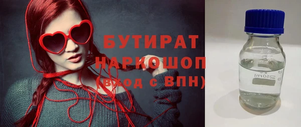 дмт Бородино