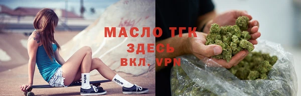 дмт Бородино