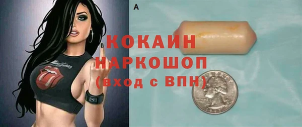 дмт Бородино
