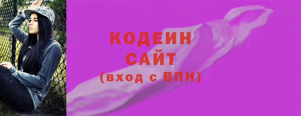 дмт Бородино