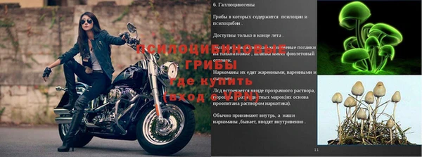 дмт Бородино