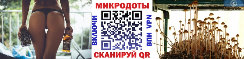 Купить где  Кувандык  Галлюциногенные грибы мицелий 